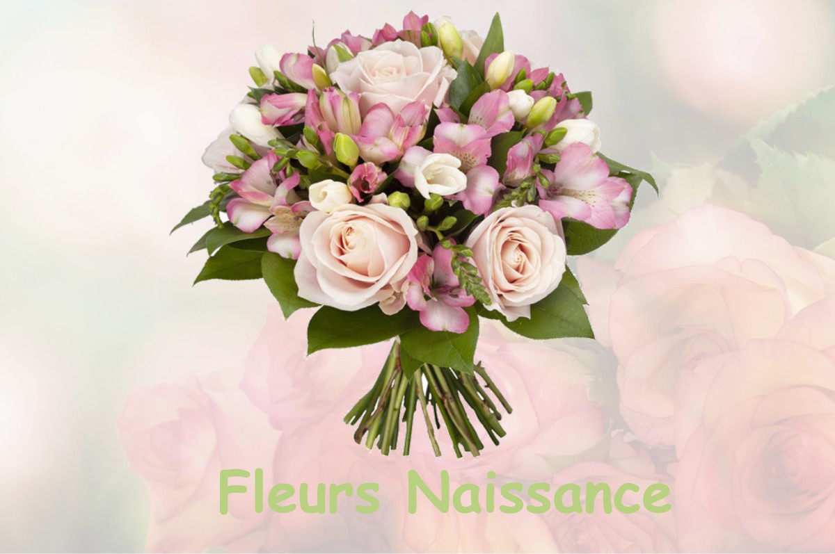 fleurs naissance VERS-SOUS-SELLIERES