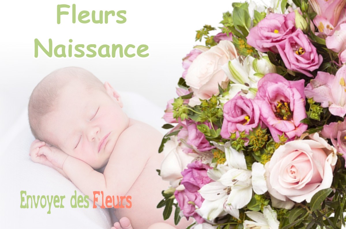 lIVRAISON FLEURS NAISSANCE à VERS-SOUS-SELLIERES